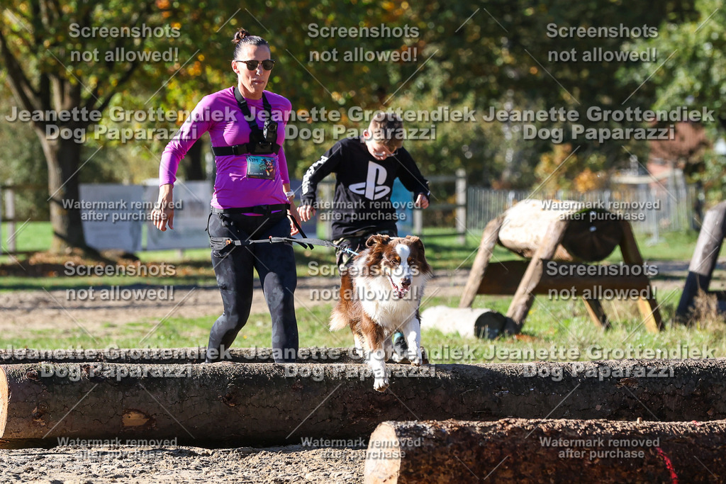 Dog Paparazzi - Strongdog 10-25-2437 | Dog Paparazzi Jeanette Grottendiek Fotografie & Videografie - Realisiert mit Pictrs.com