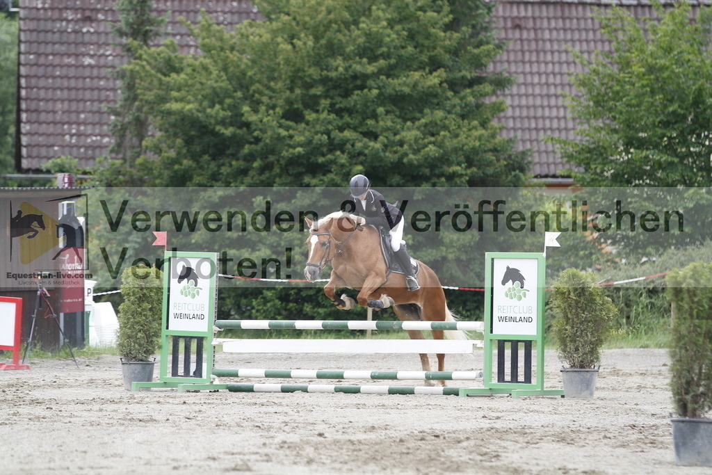 _MG_6583 | equestrian-live-com