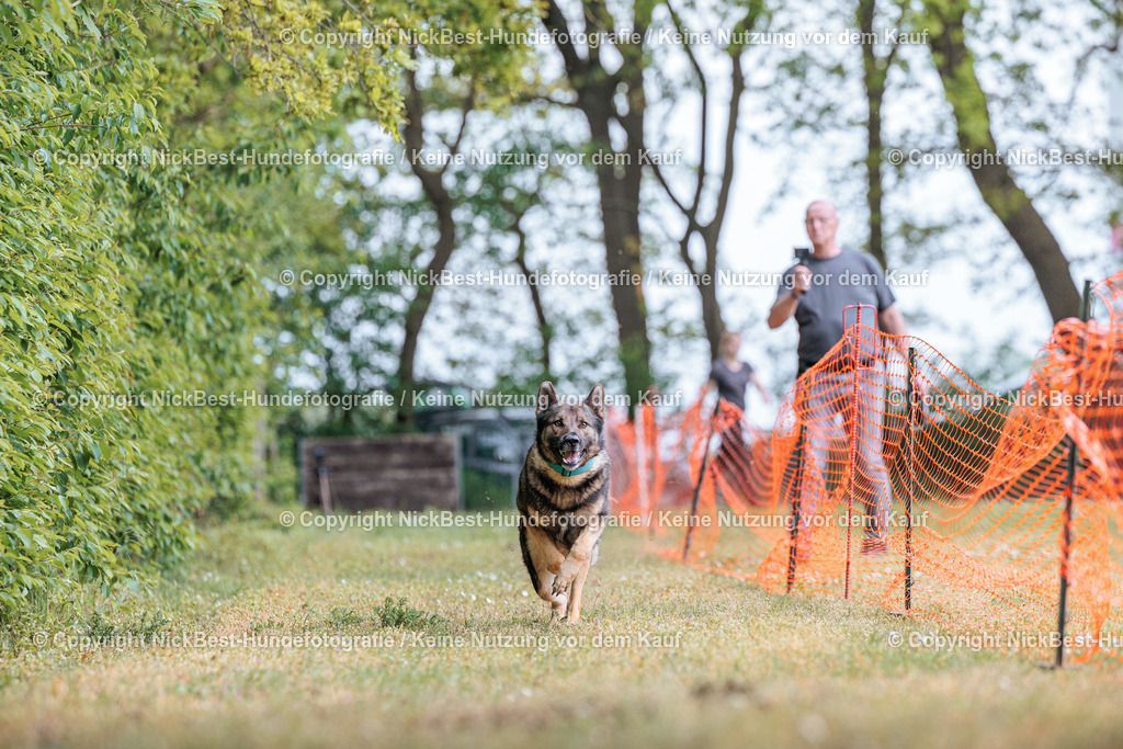 Sage Hunderennen Frühlingsfest-2026-Nickbest-Hundefotografie-0179 | Dein Hund! Dein Moment! Deine Erinnerungen! Hundefotografie in Bremen Blumenthal. Ich fange die besonderen Momente deines Vierbeiners ein – ob Indoor mit Blitzanlage oder in der freien Natur. Sicher dir dein Moment und dein Termin für eure Erinnerungen.