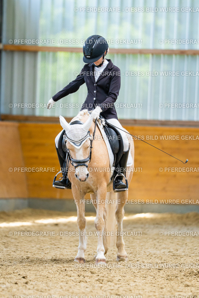 DSC09578 | Pferdegrafie