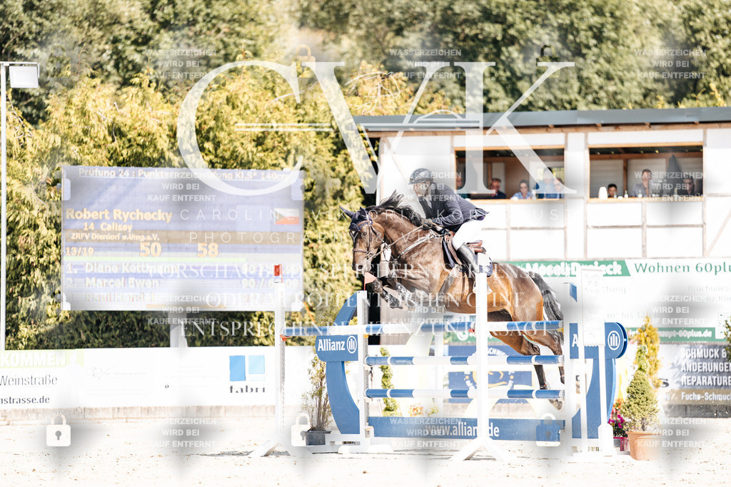 CK909013 | Turnierfotografie Pferdefotografie Trier Rheinland-Pfalz Pferdesport Reitsport Tierfotografie Sportfotografie Pferdevideo Pferdevideografie Equestrianvideography equestrianphotography  - Realisiert mit Pictrs.com