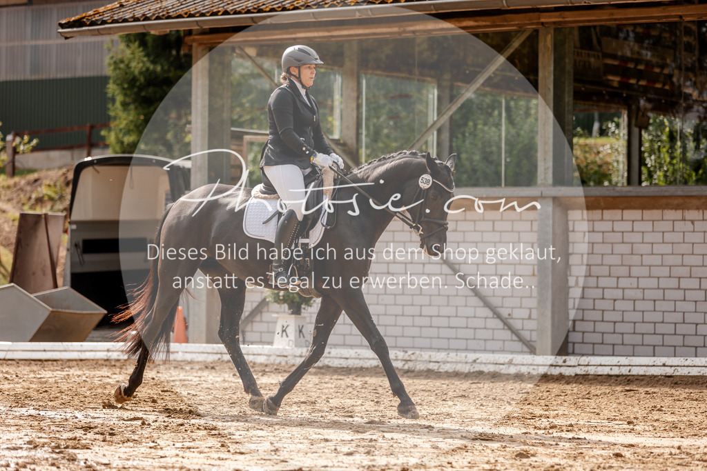 3I6A7318 | Stimmungsvolle Portraits und Reitsportfotografie im Ruhrgebiet und im Münsterland.

Pferdefotografie, Hundefotografie, Tierfotografie, Reportagen, Portraits von Tier und Mensch, Turnierfotografie in Bochum, Recklinghausen, Marl, Haltern am See, Dülmen.. - Realisiert mit Pictrs.com