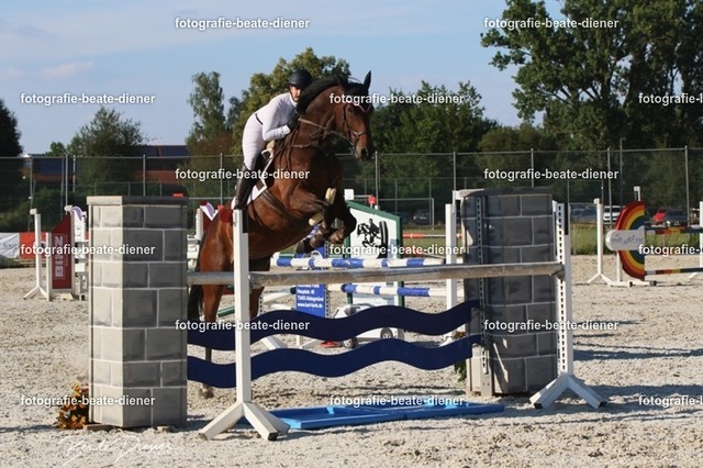 OHT 2022 Röhlingen (158) | Fotografie, Tiere, Hunde, Katzen, Pferde, Sportfotografie, Fotosession, Tierfotografie, Turnierfotografie, Fotografin, Fotograf - Realisiert mit Pictrs.com