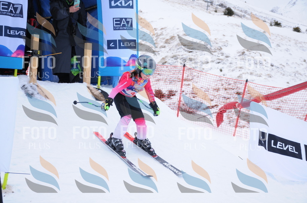 DSC_7569 | holidayphoto