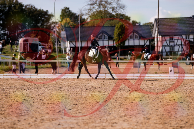 2026_10_03_Siefer-Hof_133903_Z81_98361977 | Professionelle Reitsport-, Turnier- und Eventfotografie von Robert Broda. Galerien mit ausgewählten und bearbeiteten Bildern direkt online ansehen und bestellen.