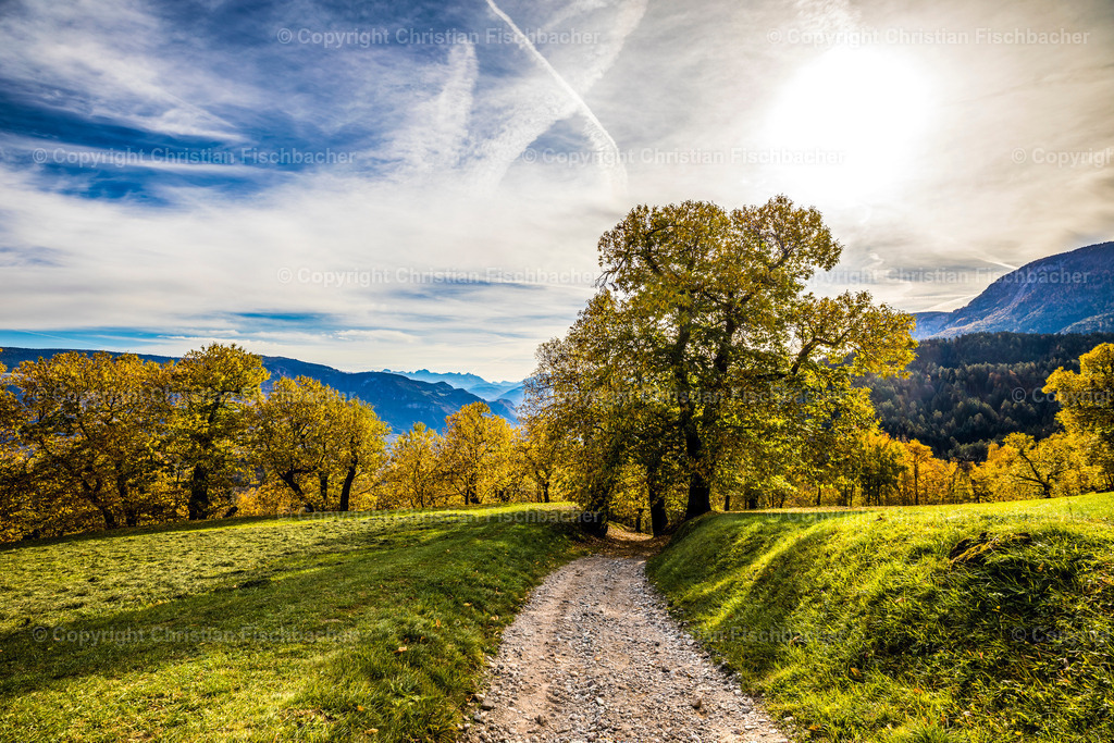 Fotos_Copyright_Chri_Fischbacher_Druck-289 | Bildershop Chri Fischbacher - Realisiert mit Pictrs.com