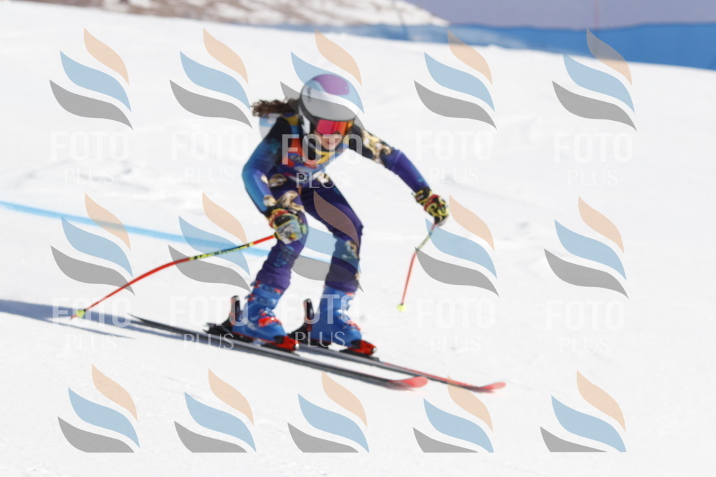 _U3G8676 | holidayphoto