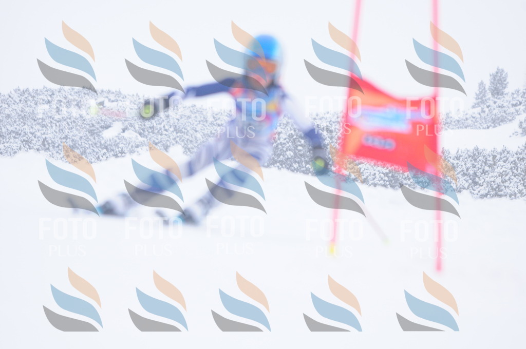 C2130 | holidayphoto