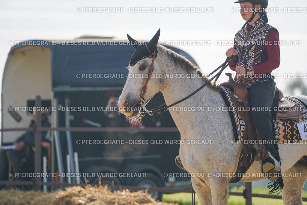 DSC00825 | Pferdegrafie