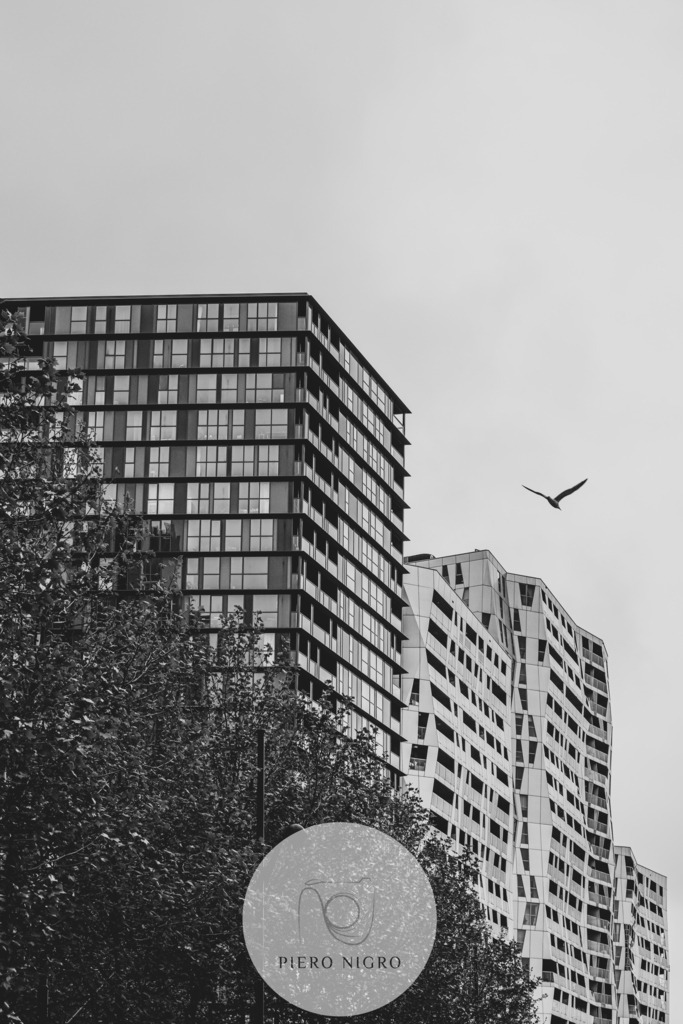 20230510-IMG_1232 | Galleria Dei Moment - Fotografie D' Arte | Wallart | Fotokunst - Realisiert mit Pictrs.com