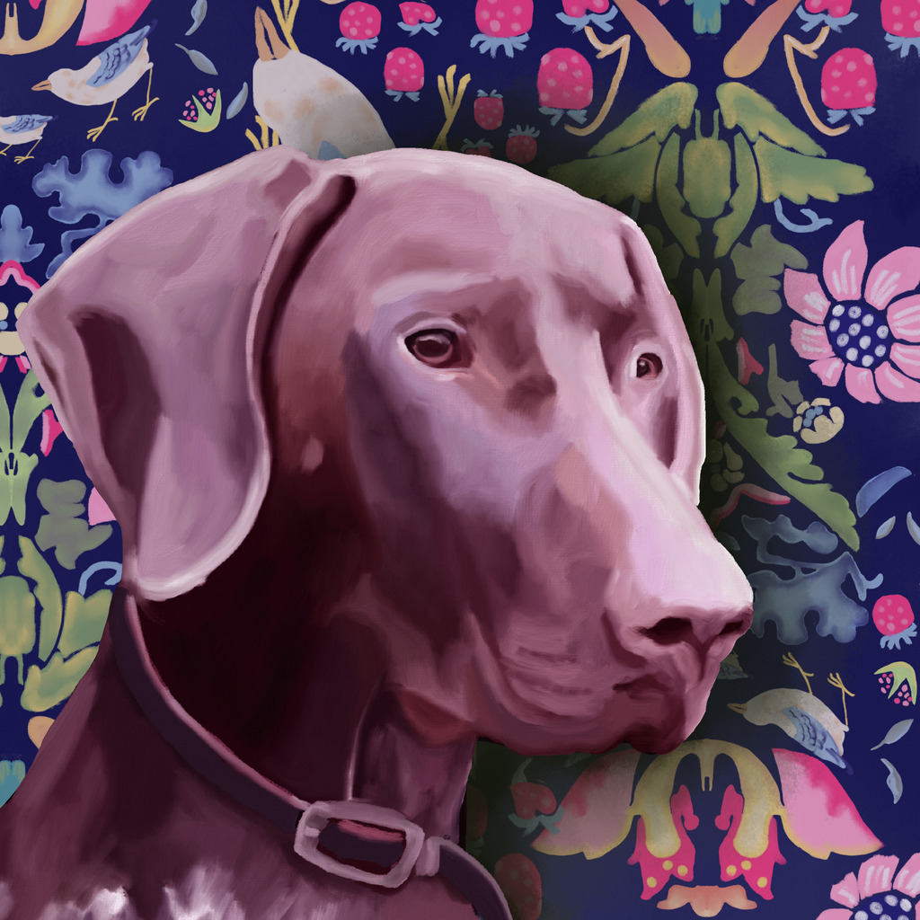 Ridgeback | Illustrationen, digitalpainting, animals, dogs, hunde, art, Kunst, Illustrationsart, Bielefeld, Germany - Realisiert mit Pictrs.com