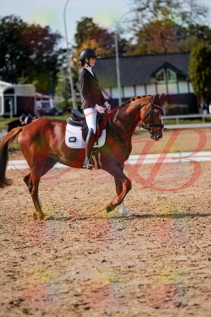 2026_10_03_Siefer-Hof_132840_Z63_89571284 | Professionelle Reitsport-, Turnier- und Eventfotografie von Robert Broda. Galerien mit ausgewählten und bearbeiteten Bildern direkt online ansehen und bestellen.