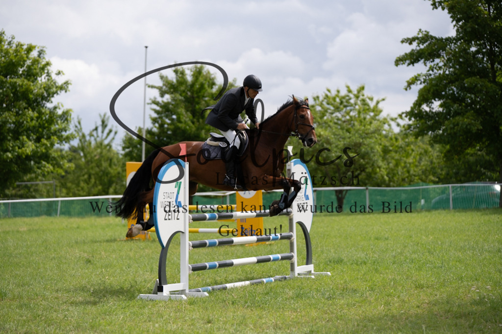 A7V04146 | Pferdefotograf