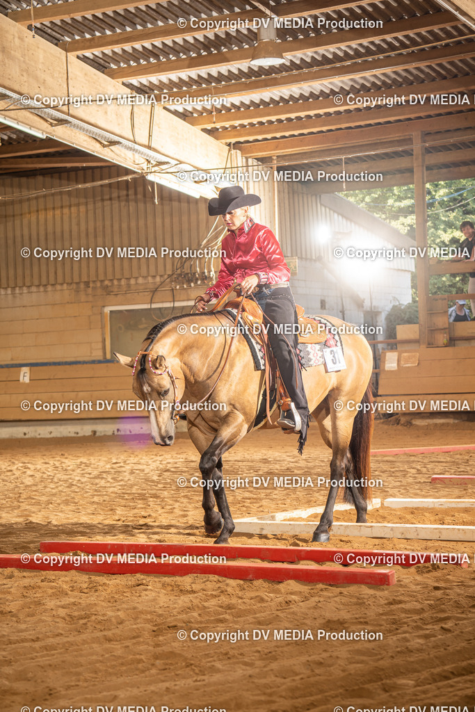 NID02764 | dv-media-shop - Realisiert mit Pictrs.com