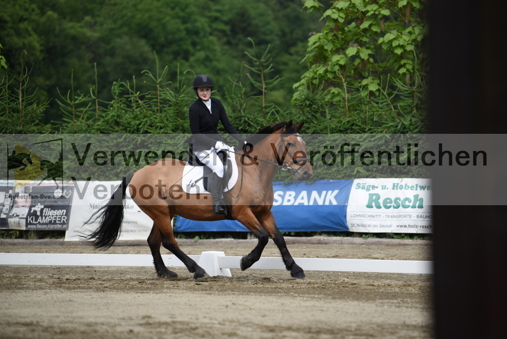 DSC_8299 | equestrian-live-com