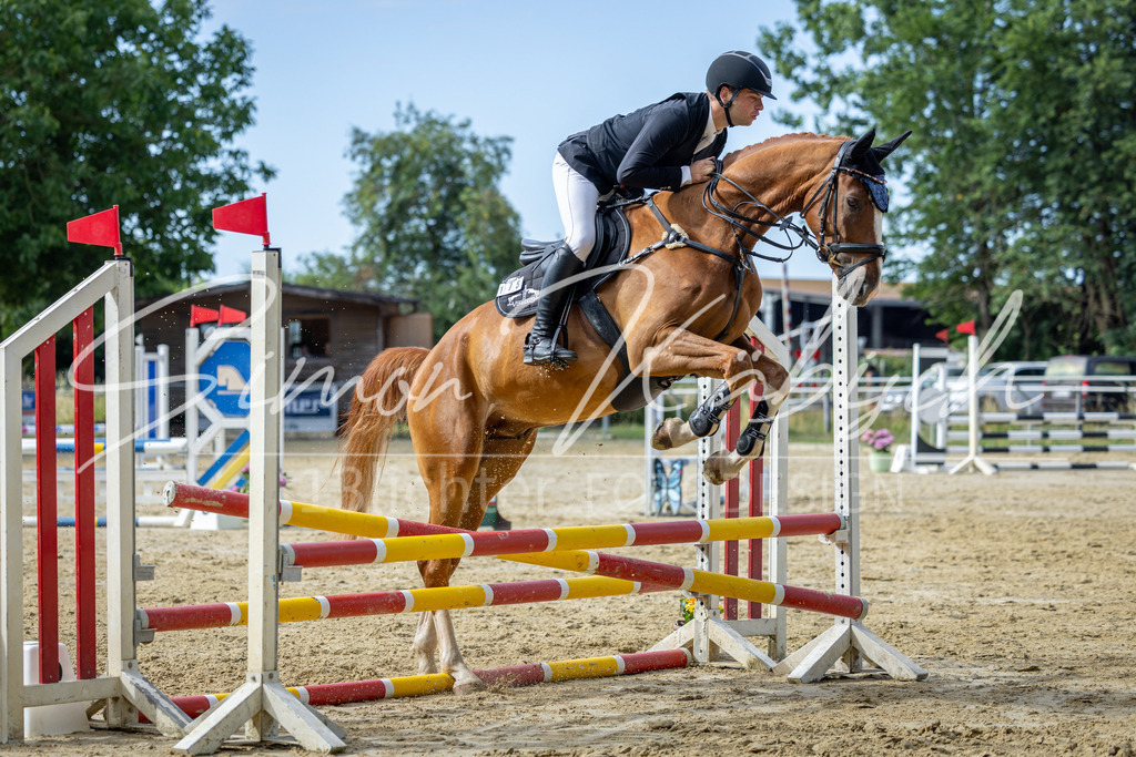 20260704-_3LI6518 | Tierfotografie Pferde, Hunde, Katzen, Haustiere.
Turnierfotografie Reitturniere, Reiten, Springreiten, Dressur in Hanau, dem Main-Kinzig-Kreis und dem Rhein-Main- Gebiet um Frankfurt