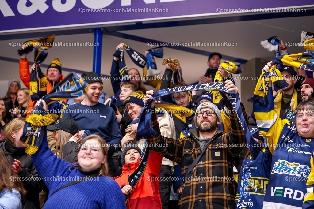 BFX27012601106 | 27.01.2026, Eishockey, Metal Ligaen Denmark, Herning Blue Fox - Frederikshavn White Hawks, KVIK Hockey Arena in Herning, Dänemark: Torjubel nach dem Tor zum 1:1 durch Torschütze Emil Kristensen&nbsp;(D) (Blue Fox Herning #28) Zuschauer jubelnd Fans Eishockeyfans Fan Besucher