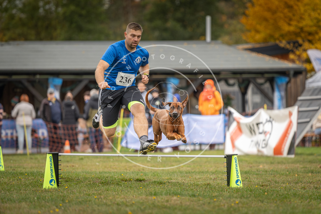 Pfotenfotografie_DV3A4905 | Hundefotografie, Tierfotograf, Pfotenfotografie, Fotoshooting Hund, Hunde Portrait, Hundesport, Hundeportraits, Heideshooting, Hunde, Sportfotograf, Hundefotograf, Turnierhundsport, THS,  - Realisiert mit Pictrs.com