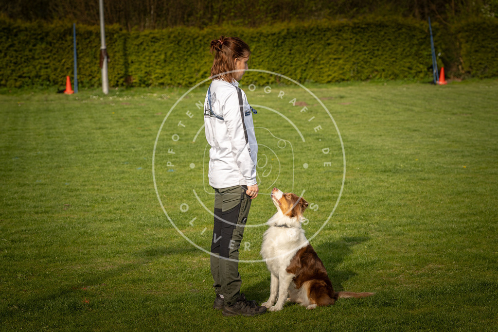 Pfotenfotografie_DV3A4846 | Hundefotografie, Tierfotograf, Pfotenfotografie, Fotoshooting Hund, Hunde Portrait, Hundesport, Hundeportraits, Heideshooting, Hunde, Sportfotograf, Hundefotograf, Turnierhundsport, THS,  - Realisiert mit Pictrs.com