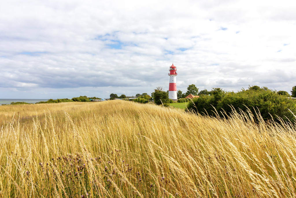 Wandbild: Leuchtturm in Falshöft im Sommer | Dieses Wandbild im Querformat zeigt einen kleinen Deich am Leuchtturm in Falshöft im Sommer. Auf dem Deich wächst langes Gras. Am Himmel befinden sich helle Wolken - Realisiert mit Pictrs.com