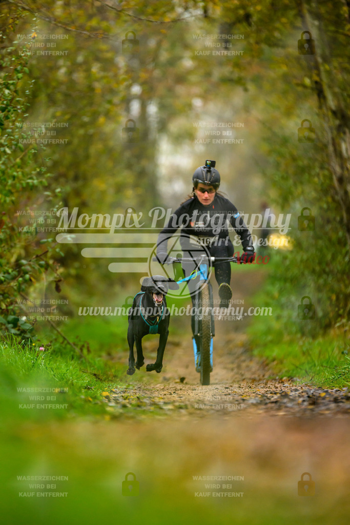 MompixPhotography_20TSB_E6_DS1-1 | PayLife