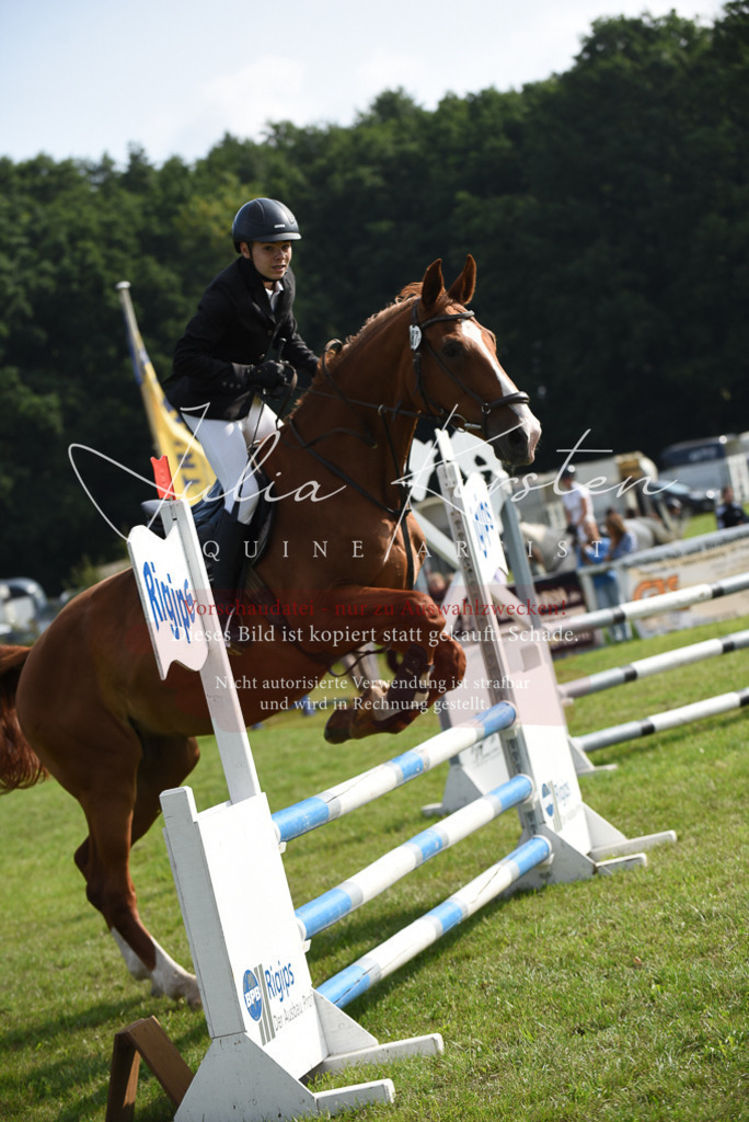DSC_8798 | Pferde- und Turnierfotografie in Westsachsen. Pferdeportraits, Auftragszeichnungen und intuitive Kunst.