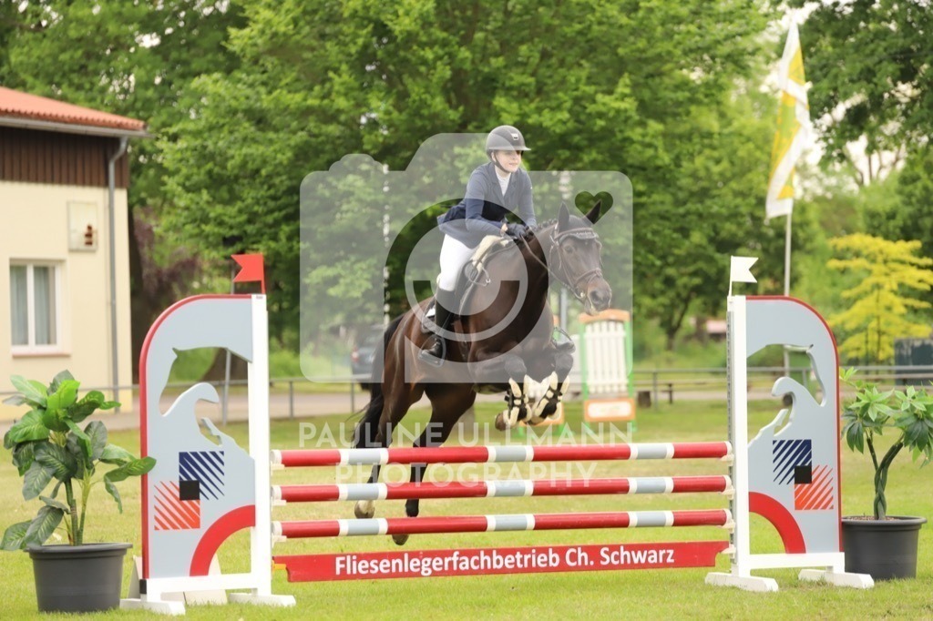 IMG_6781 | Pauline Ullmann Photography - Realisiert mit Pictrs.com