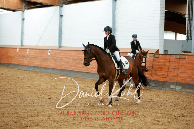 _62_5461 | Turniersportfotografie; Pferdefotografie; Dressurfotografie