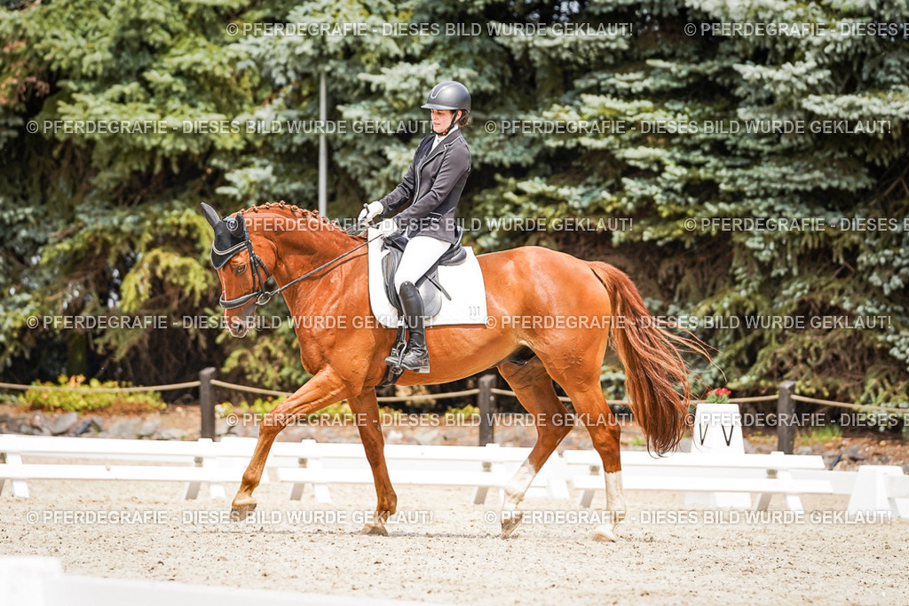 DSC04009 | Pferdegrafie