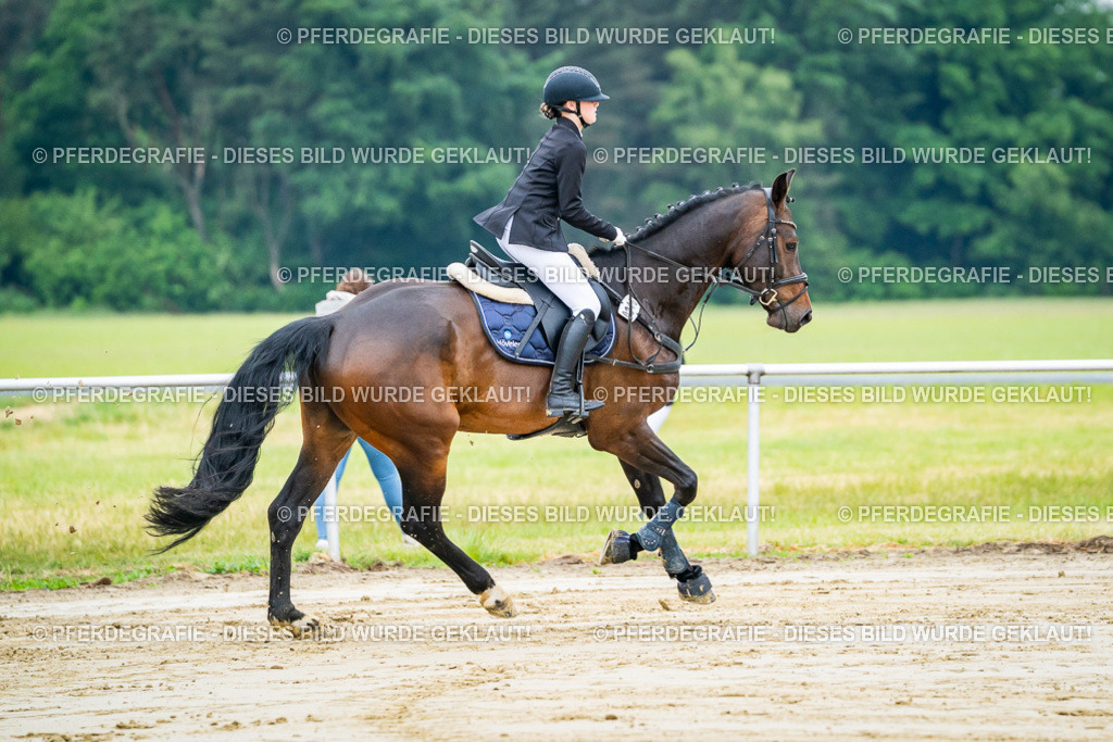 DSC02002 | Pferdegrafie