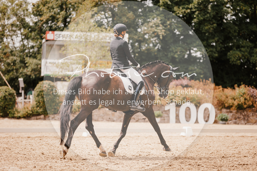 3I6A6309 | Stimmungsvolle Portraits und Reitsportfotografie im Ruhrgebiet und im Münsterland.

Pferdefotografie, Hundefotografie, Tierfotografie, Reportagen, Portraits von Tier und Mensch, Turnierfotografie in Bochum, Recklinghausen, Marl, Haltern am See, Dülmen.. - Realisiert mit Pictrs.com