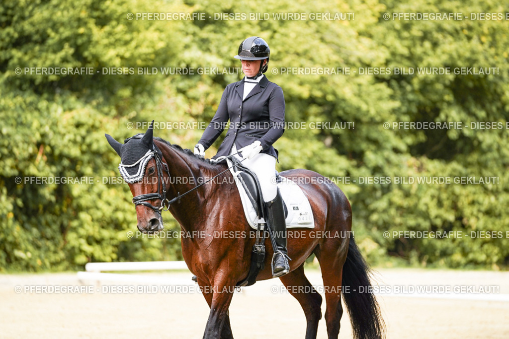 DSC03443 | Pferdegrafie