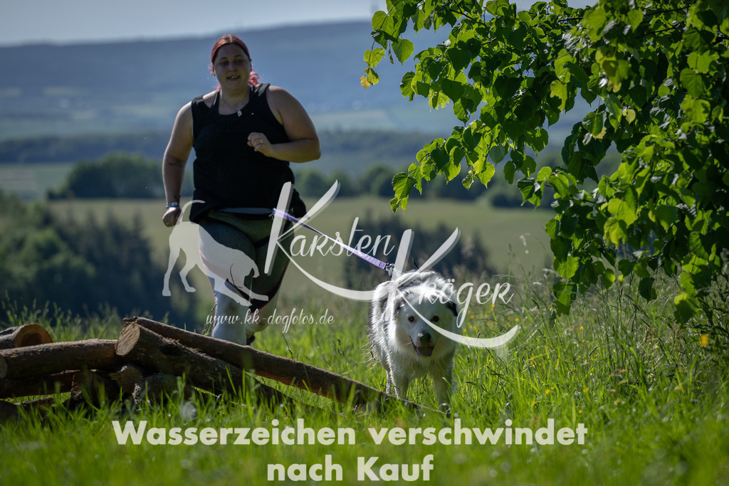 0938DSC_3218 | kk-dogfotos