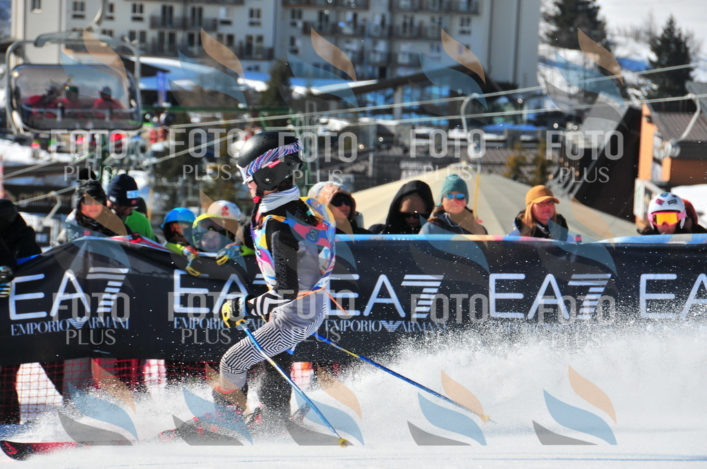 DSC_3910 | holidayphoto