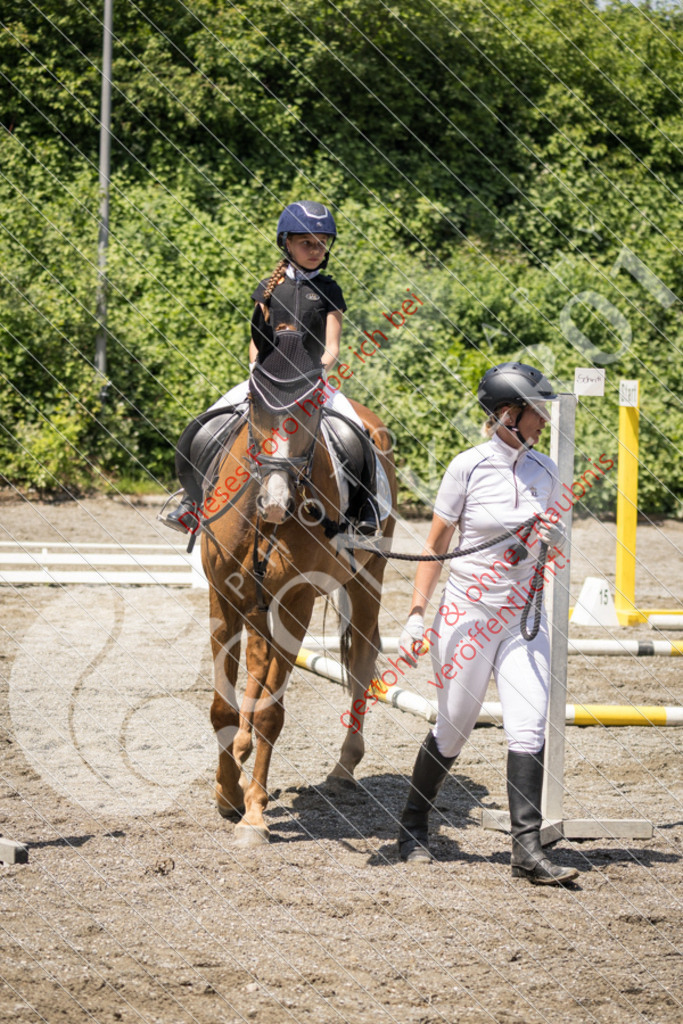 IMG_3519 | Sport-, Event- und Tierfotos in Profiqualität. Einfach auswählen, bestellen und herunterladen. Dein Moment – perfekt festgehalten.