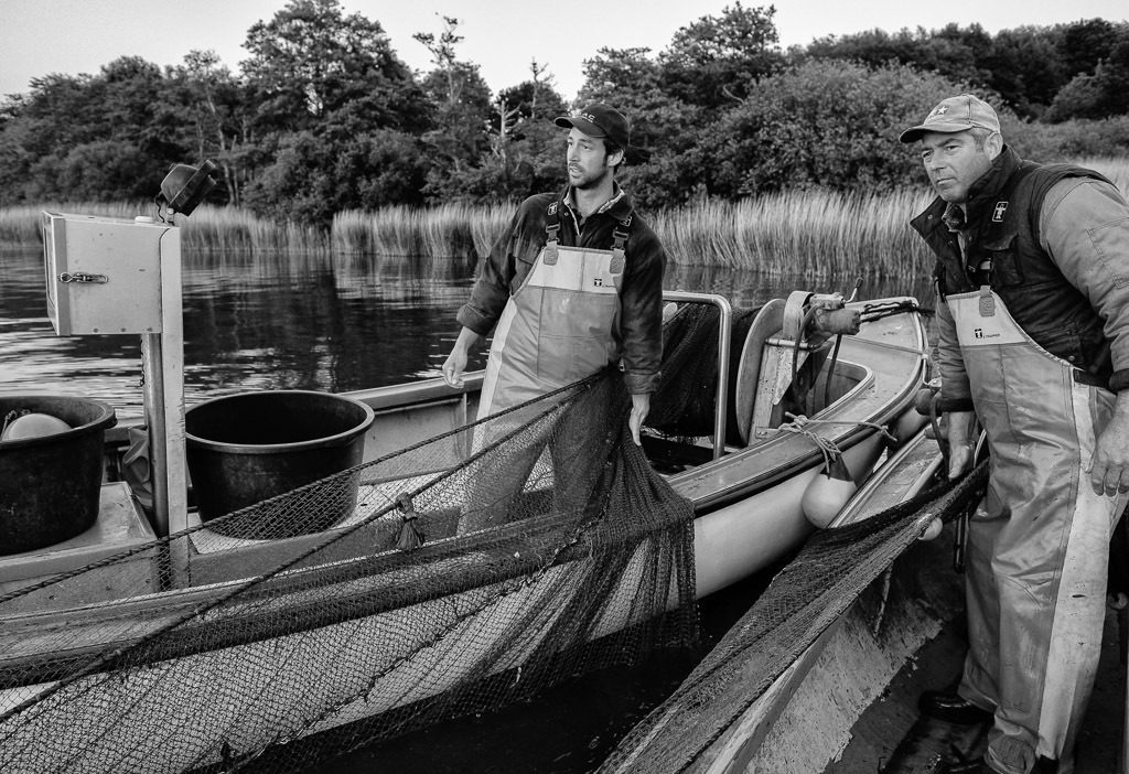 fischer-2020-115 | Die Schleswiger Fischer Jörn und Nils Ross (links) beim Einholen eines Wadennetzes auf der Kleinen Breite der Schlei. Höchste Konzentration ist gefragt. Jeder Griff muss sitzen. - Realisiert mit Pictrs.com