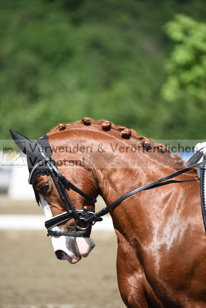 DSC_0251 | equestrian-live-com
