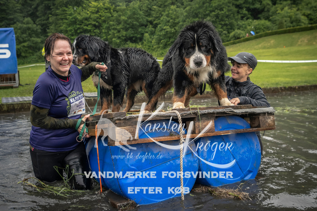 1549_ZZ95002 | kk-dogfotos