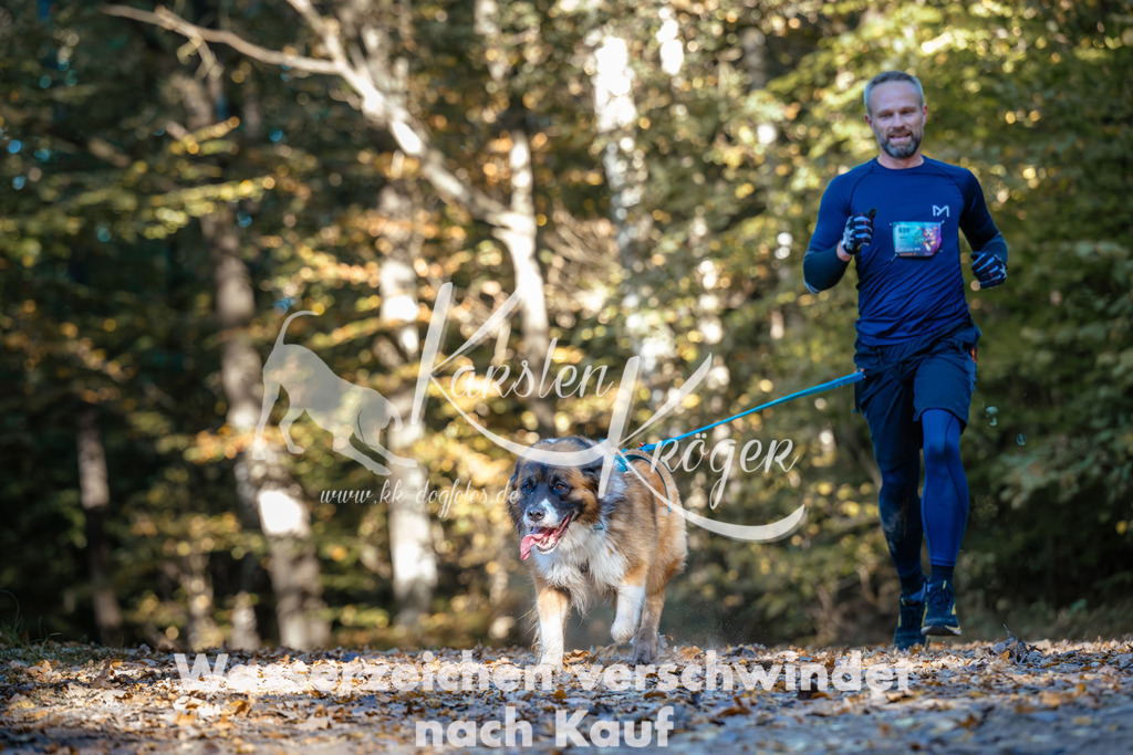 1021_ZZ99683 | kk-dogfotos