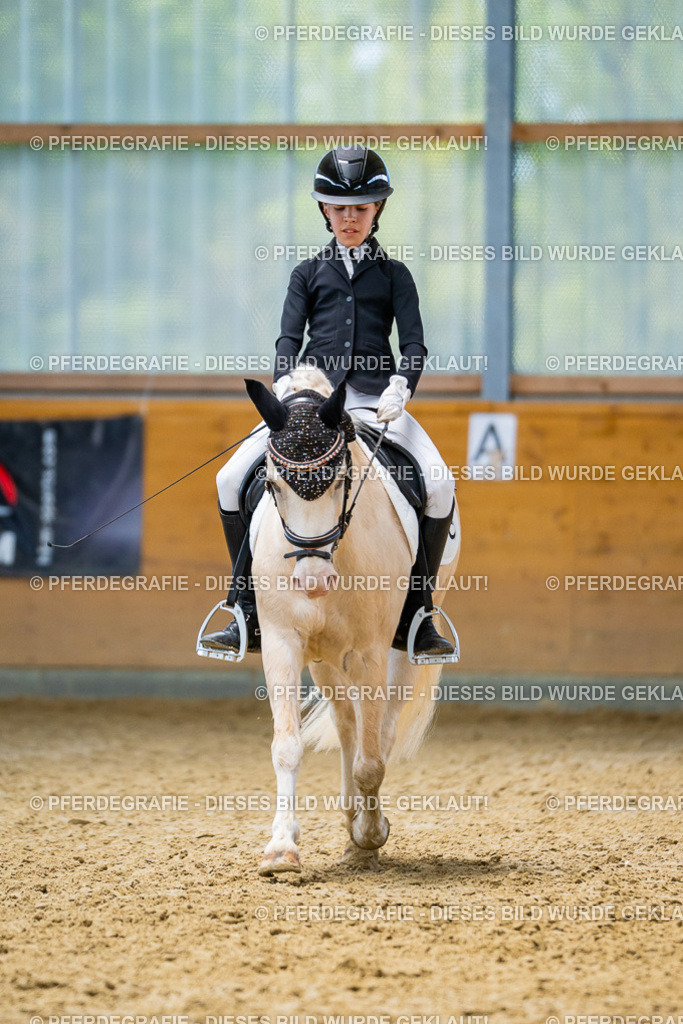 DSC09165 | Pferdegrafie