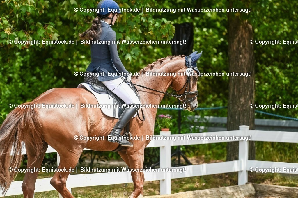 20230716_03_Dressurprfg. Kl.L - Tr._0327 | equistock