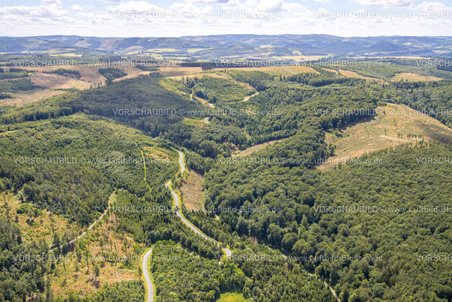 Arnsberg240708273 | Luftbild, Serpentinen am Ochsenkopf zwischen Arnsberg und Sundern im Waldgebiet mit Waldschäden Stockumer Höhe, Sunderner Straße Landesstraße L685, Arnsberg, Sauerland, Nordrhein-Westfalen, Deutschland