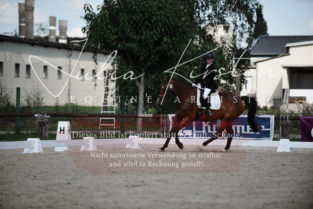 DSC_9987 | Pferde- und Turnierfotografie in Westsachsen. Pferdeportraits, Auftragszeichnungen und intuitive Kunst.