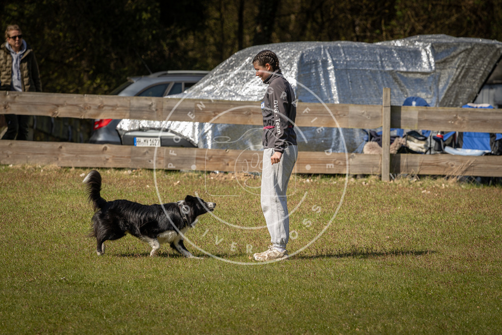 Pfotenfotografie_DV3A1119 | Hundefotografie, Tierfotograf, Pfotenfotografie, Fotoshooting Hund, Hunde Portrait, Hundesport, Hundeportraits, Heideshooting, Hunde, Sportfotograf, Hundefotograf, Turnierhundsport, THS,  - Realisiert mit Pictrs.com