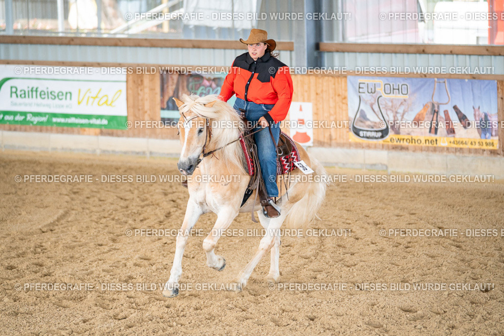 DSC02835 | Pferdegrafie