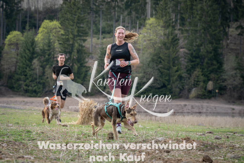 1828_ZZ98253 | kk-dogfotos