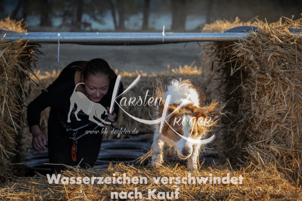 0902_ZZ90750 | kk-dogfotos