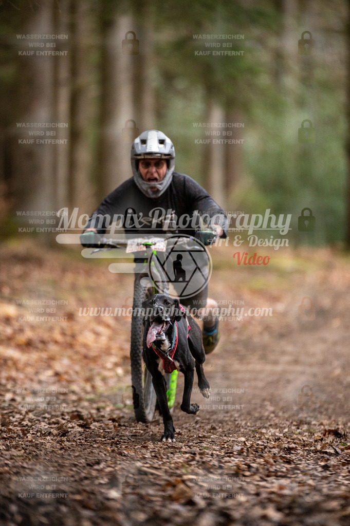 SPA_2023_DIM_Scooter-19 | PayLife