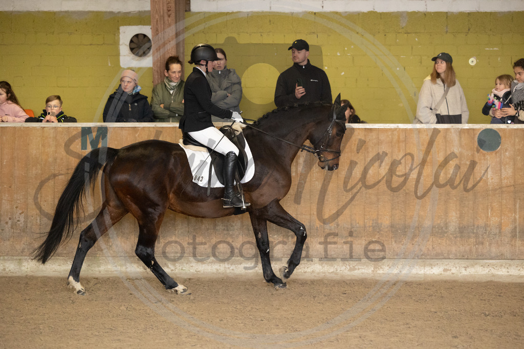 994A8946 | sabrinanicolaifotografie - Realisiert mit Pictrs.com