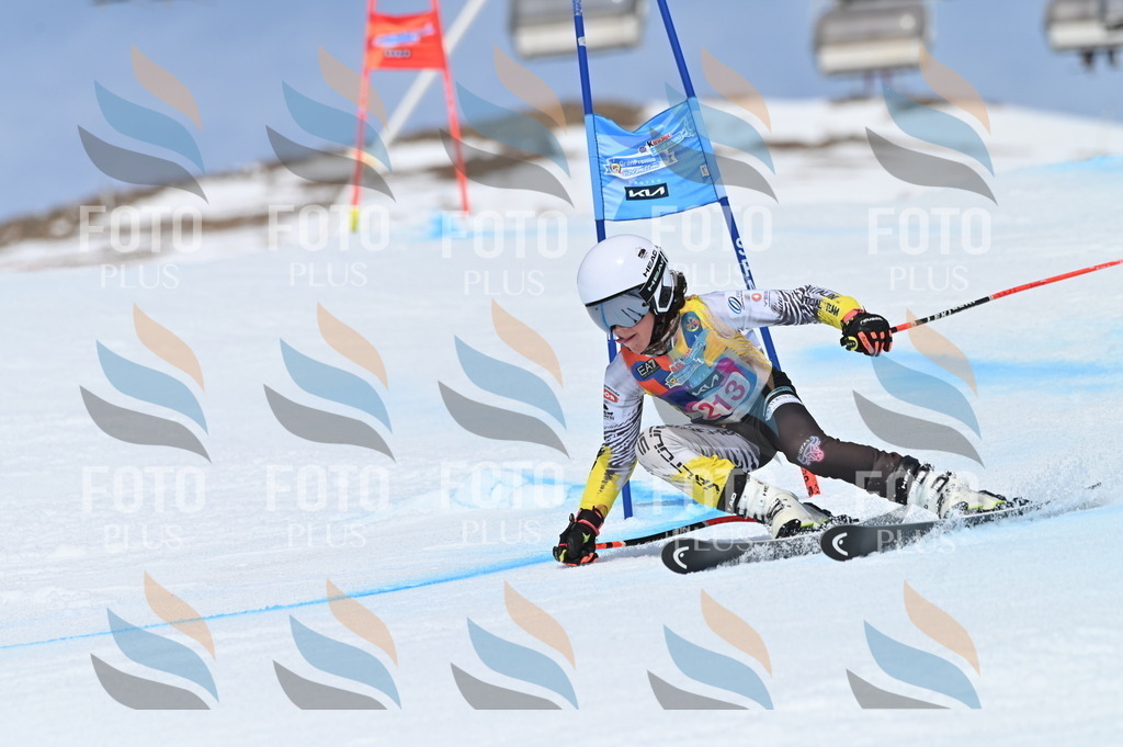 BGV_1186 | holidayphoto